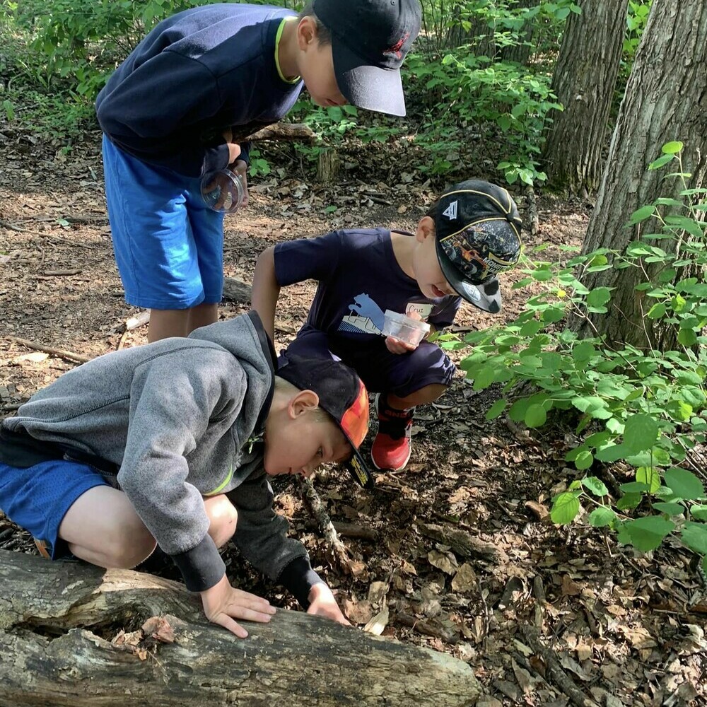students exploring in the woods